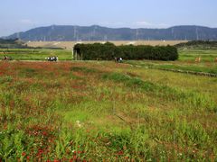 -光明小镇欢乐田园