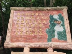 -金龙寺国家森林公园