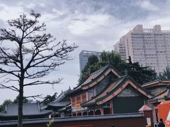 -西安大兴善寺