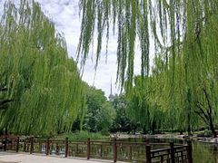 -玲珑塔公园