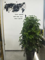 -IN HAIR艺术+造型