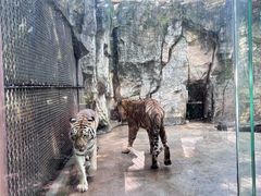 -南昌动物园