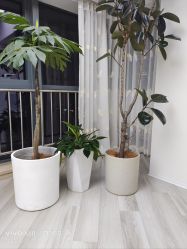 -HEYAN荷妍专业脱毛连锁机构