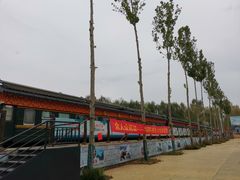 -微山湖红荷湿地景区