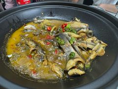 -农乐园食府(梅城镇店)