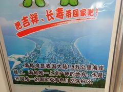 -广东惠东海龟国家级自然保护区