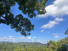 -上海市保健医疗中心