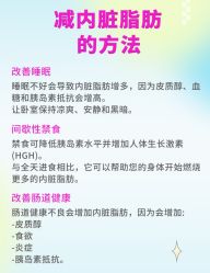 -Fundi张玉珊修身堂·indiba·BTL科技瘦身