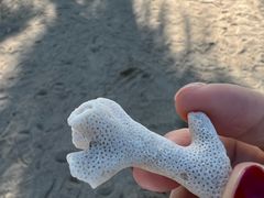 -三亚西岛海洋文化旅游区