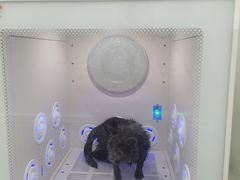 -爱洗澡的猫(天河路店)