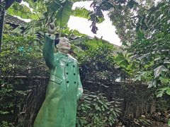 -莓园冰淇淋店