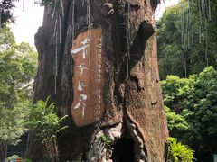 -青青世界