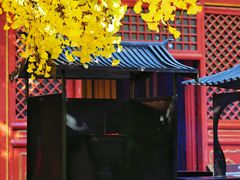-红螺寺