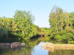 -溱湖国家湿地公园