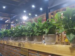 大堂-陈记农家挂炉烤肉(雁南一路店)