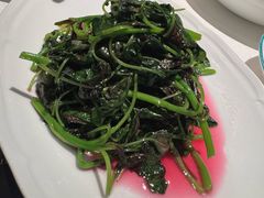 -许家菜(DT51店)