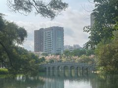 -四海公园(南山区)