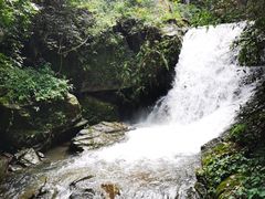 -江西阳明山国家森林公园