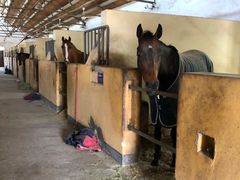 -松声马术俱乐部