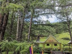 -莫尔道嘎国家森林公园