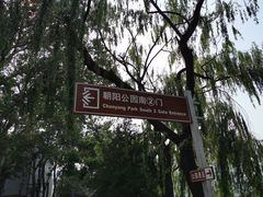 -朝阳公园游乐园