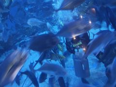 -成都浩海立方海洋公园