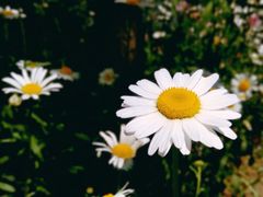 -贵阳市花溪国家城市湿地公园
