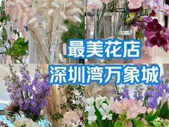 -深圳湾万象城(南山店)