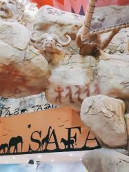 点击看大图 -卡通尼·Safari非洲探索乐园·生日会(金桥国际商业广场店)
