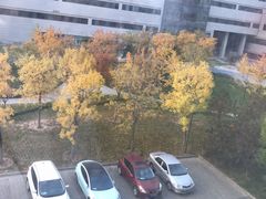 -首都医科大学附属北京天坛医院