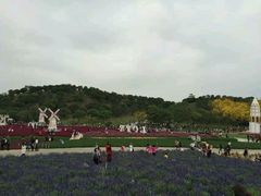 android_upload_pic-松山湖梦幻百花洲