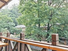 -天怡·鱼工厂(梅溪湖店)