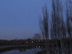 -大兴滨河森林公园