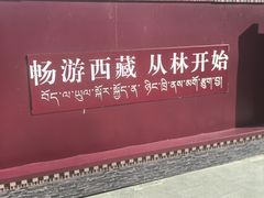 -佛掌沙丘