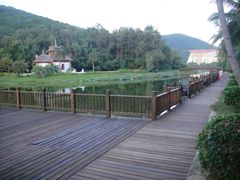 后花园-三亚亚龙湾金棕榈度假酒店