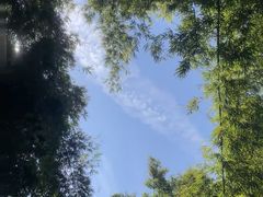-田心森林公园