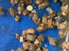 -雅逸居海鲜小厨