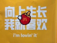 -麦当劳(湖光北街店)