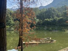 -深圳仙湖植物园
