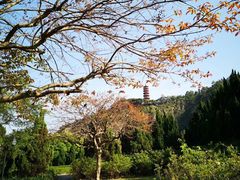 -南沙蒲洲花园