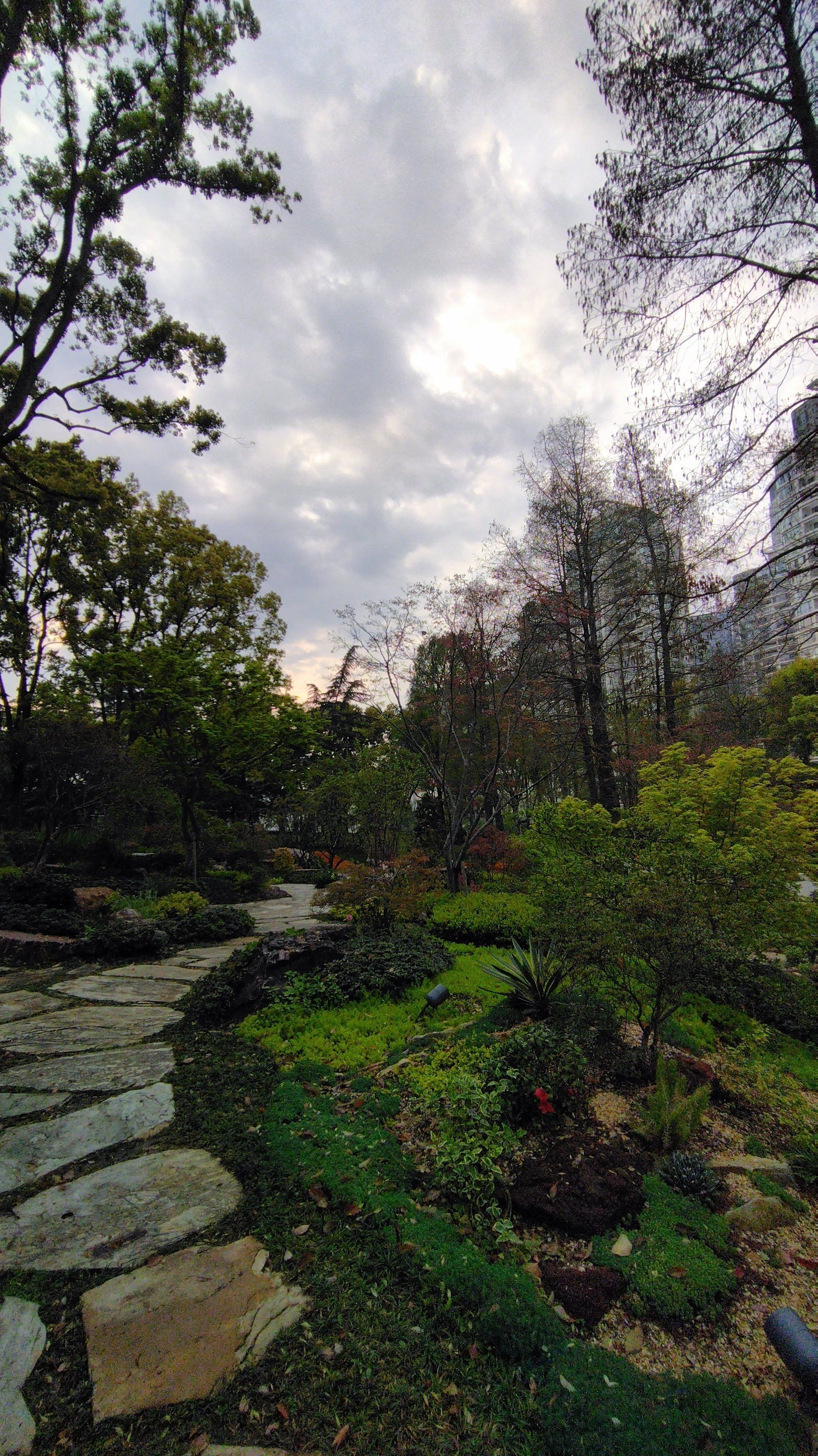 黄浦区市中心的街心花园,也有雨后宁静恬淡雅致的一面