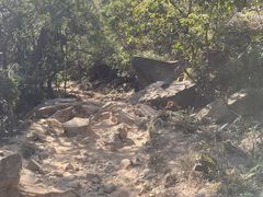 -梧桐山风景名胜区