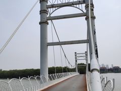 -塘沽森林公园