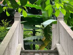 -鱼桥巷·美学川菜