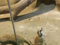 -苏州海洋馆