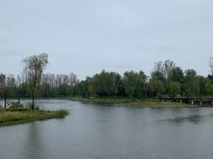 -东郊湿地公园