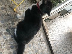 -小时光咖啡馆(北锣鼓巷店)
