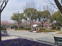 -新江湾城公园