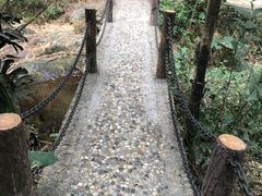 -滴水岩森林公园