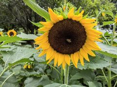 -玄武湖景区-情侣园游乐场